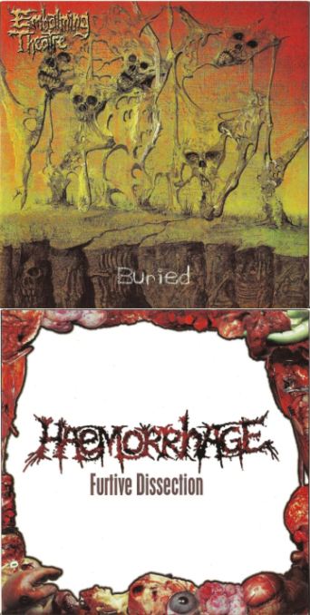 Buried / Furtive Dissection