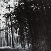 Erio / Hegan egiten