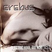 Electric Kool Aid Acid Test