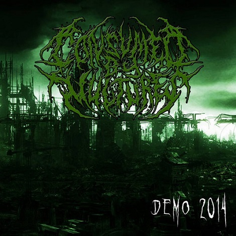 Demo 2014