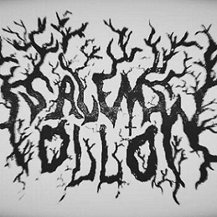 Salem Hollow