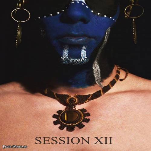 Session XII