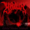 Celestial Minstrel Midnight