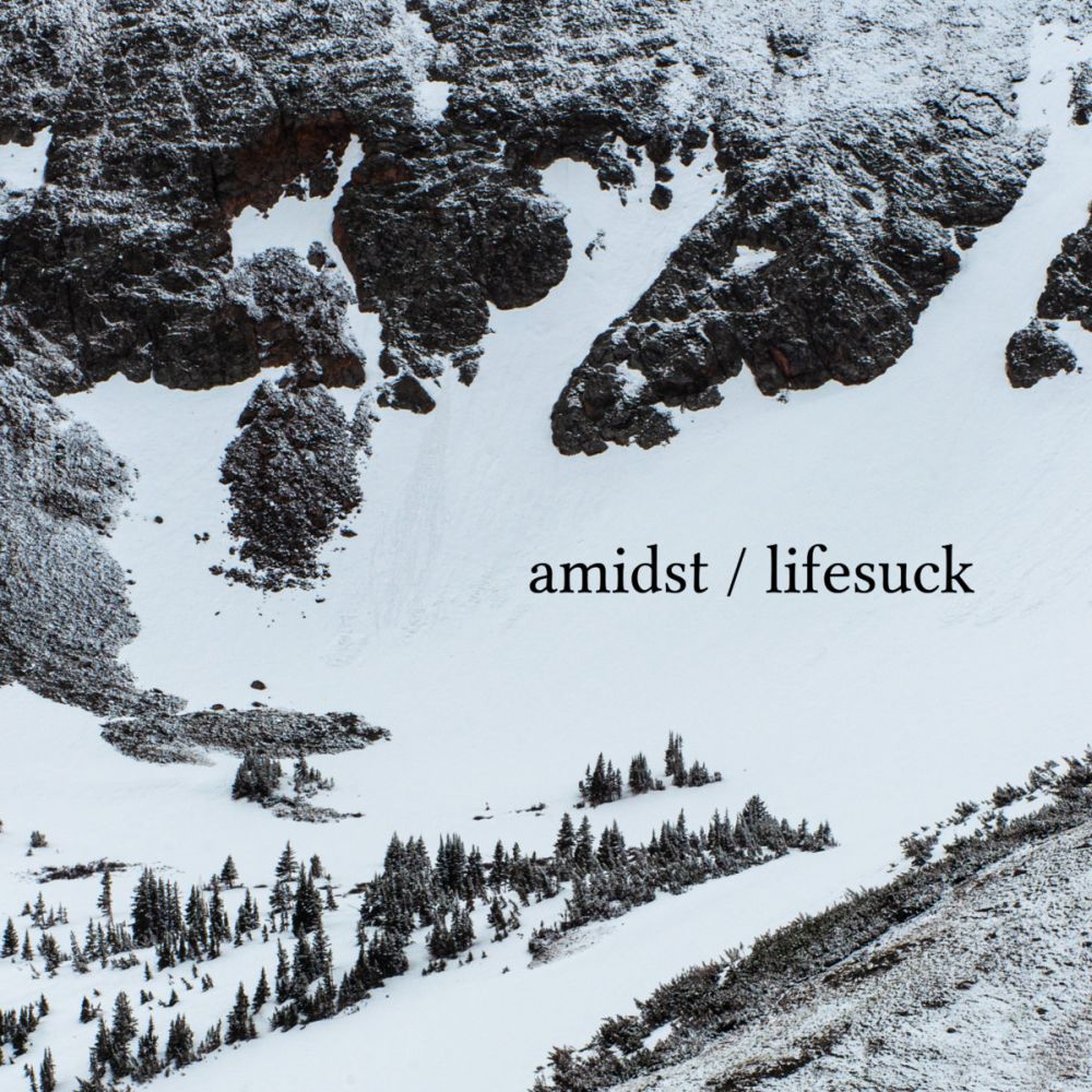 Amidst / Lifesuck