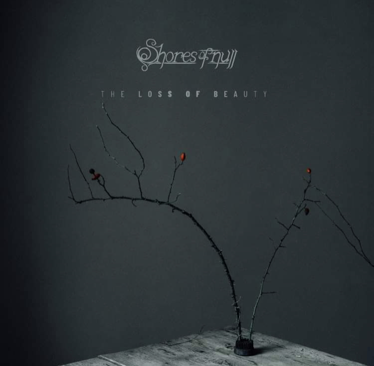 The Loss of Beauty