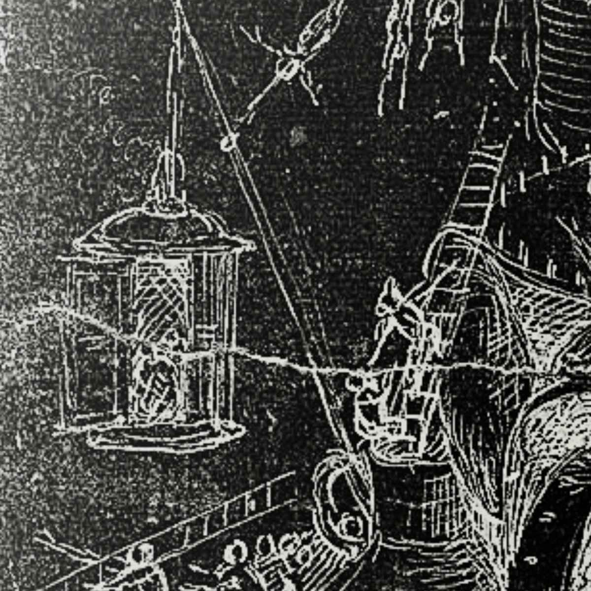 Vetus