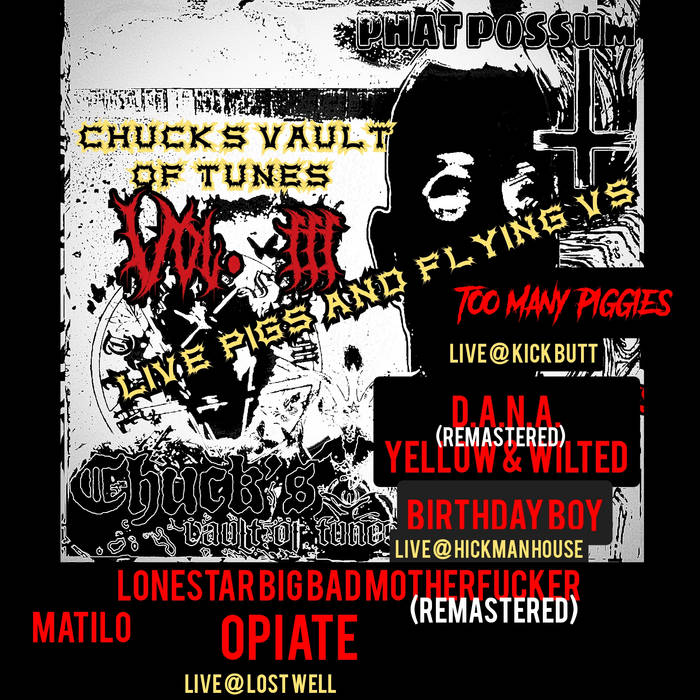 Chuck's Vault of Tunes Volume 3 Live Pigs and Flying Vs