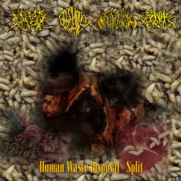 Human Waste Disposal