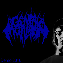 Demo 2010