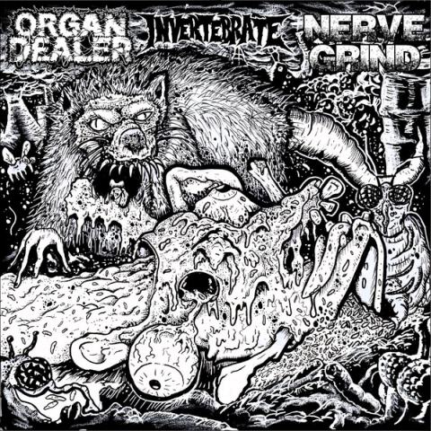 Organ Dealer / Nerve Grind / Invertebrate