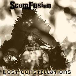 Lost Constellations