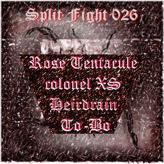 Split Fight 026