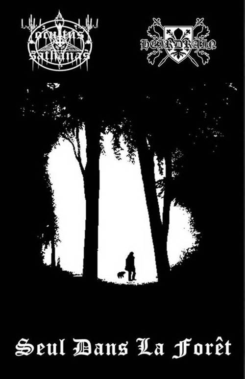 Seul dans la forêt