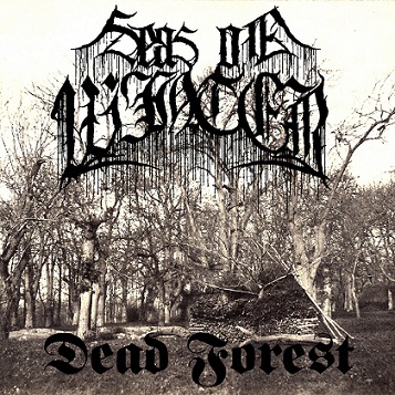 Dead Forest