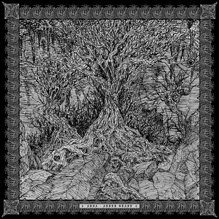 ARNA / Alder Glade