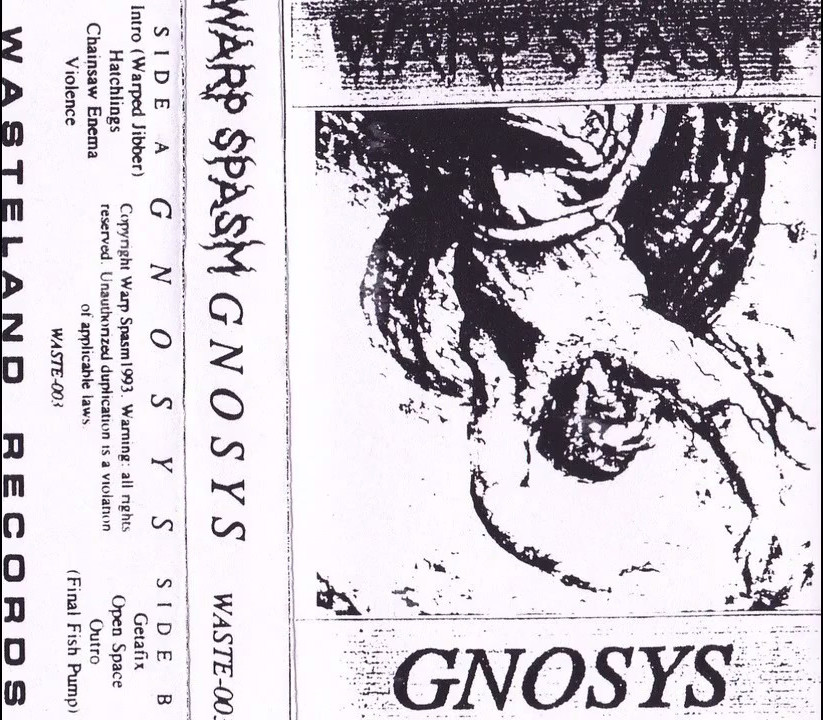 Gnosys