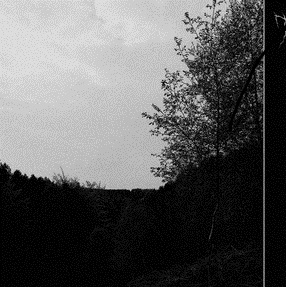 Augury