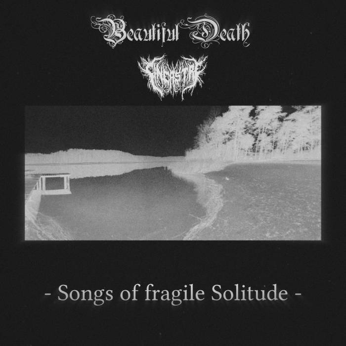 Songs of Fragile Solitude