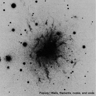 Walls, Filaments, Nodes and Voids
