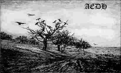 Aedh