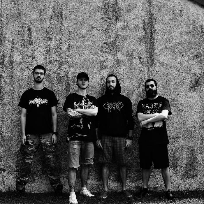 Disciples of the Sun