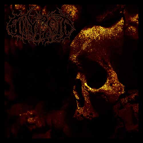 Chemical Excursion