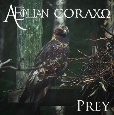 Prey