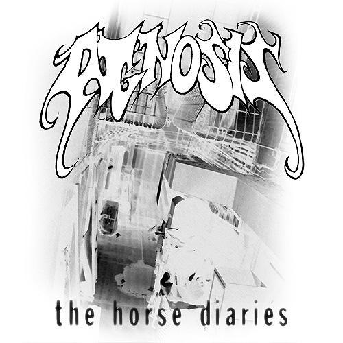 The Horse Diaries