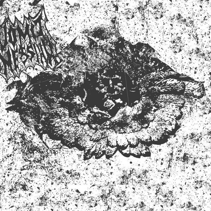 Demo II