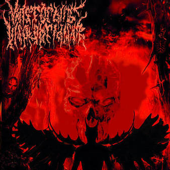 Vanstorbing Insolobridishn