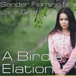A Bird's Elation