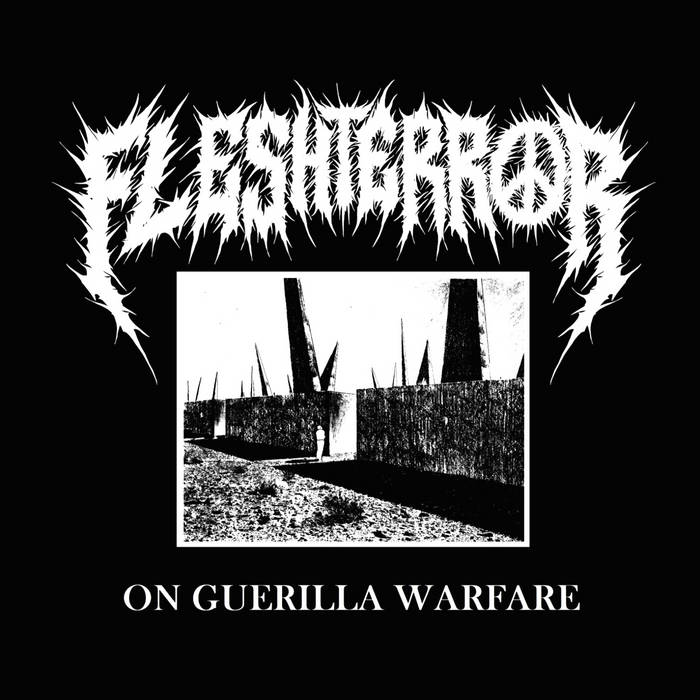 On Guerilla Warfare