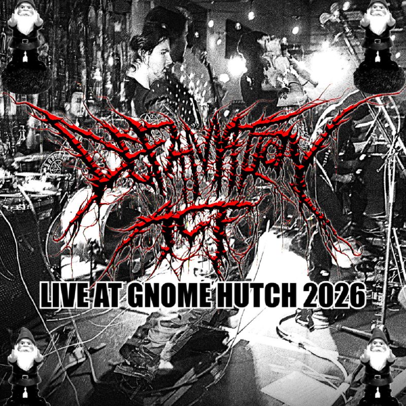 Live at Gnome Hutch 2026