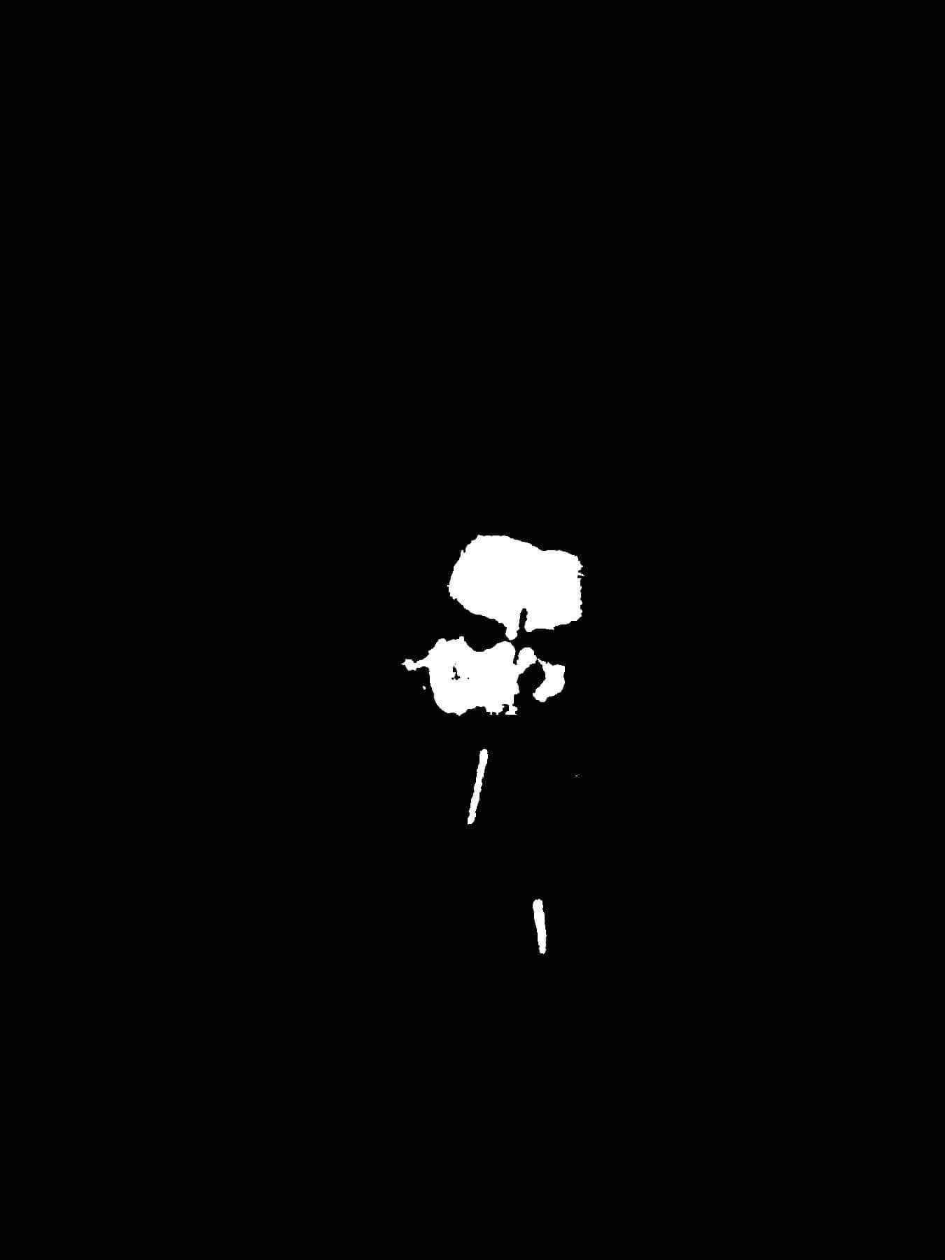 Demo