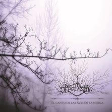 El canto de las aves en la niebla