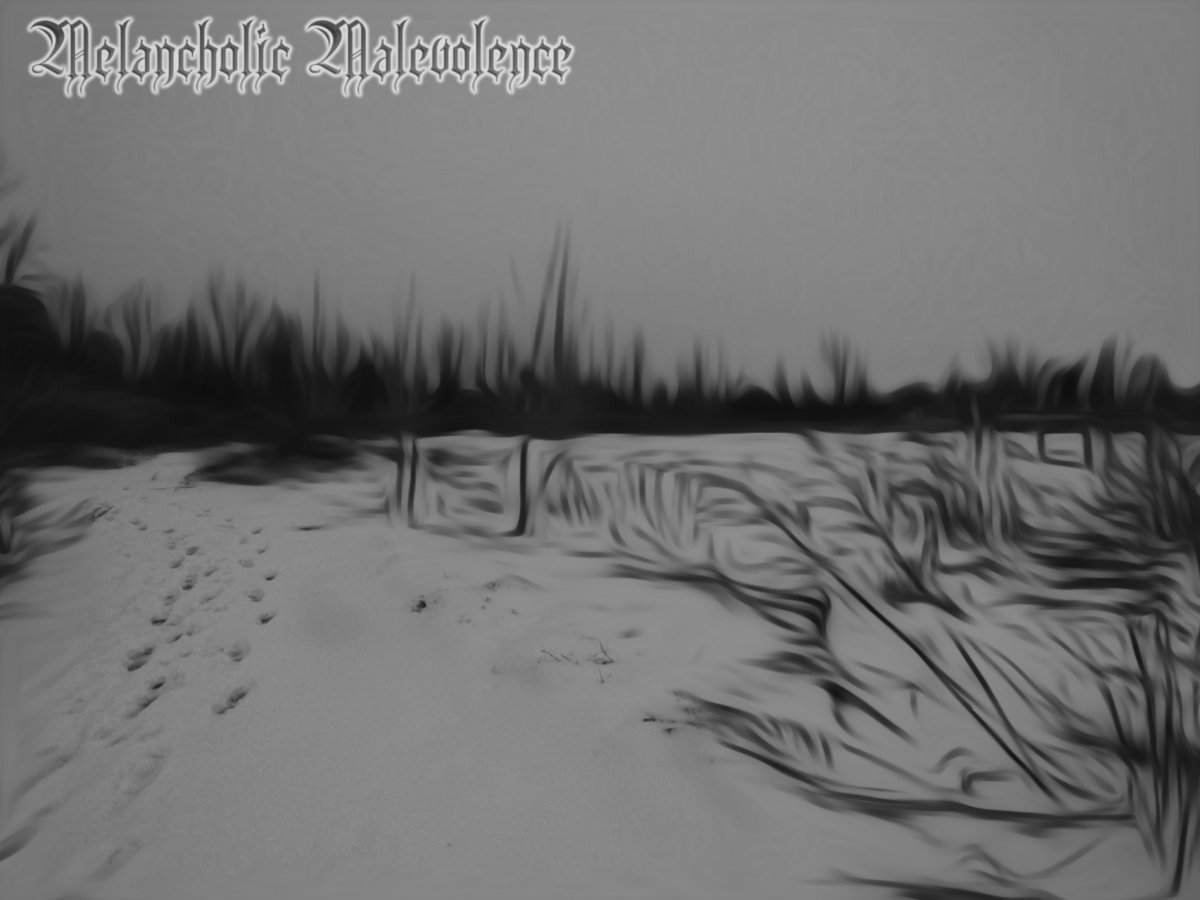 Suicidal Hymns