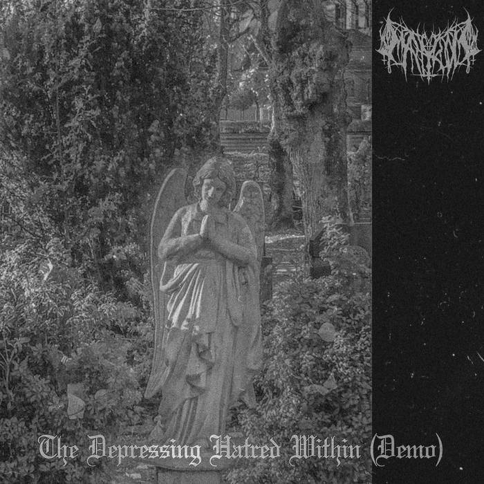 The Depressive Hatred Within (Demo)