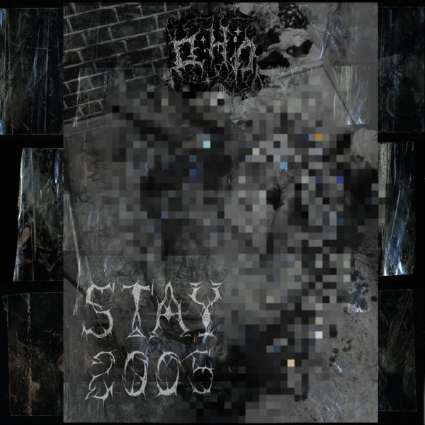 Stay 2005