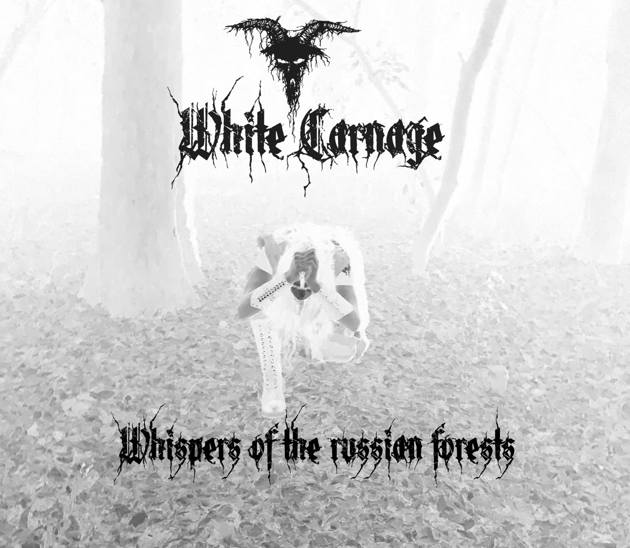 Whispers of the Russian Forests