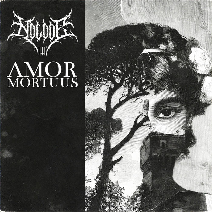 Amor Mortuus