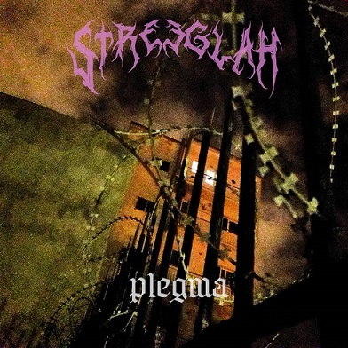 Plegma