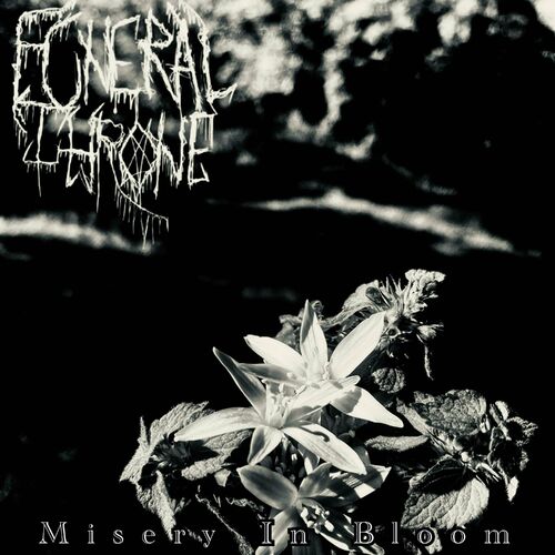 Misery in Bloom