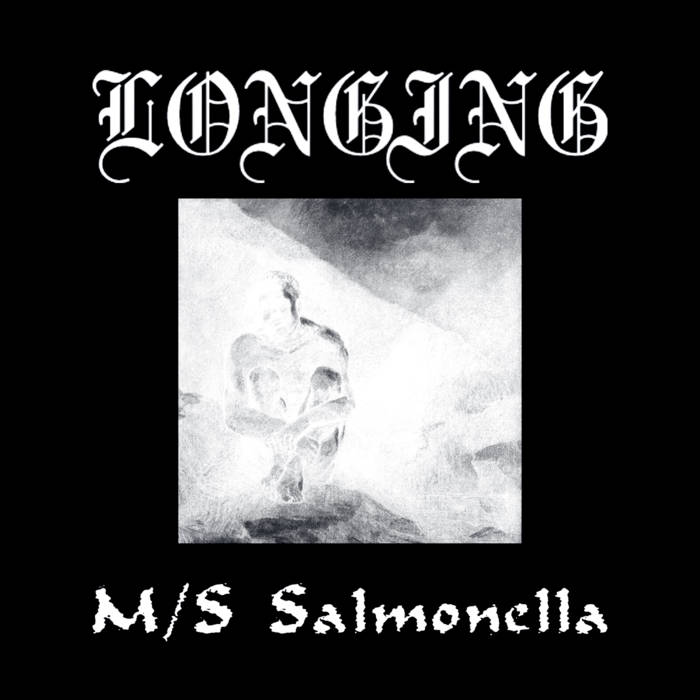 M/S Salmonella