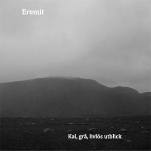 Kal, grå, livlös utblick