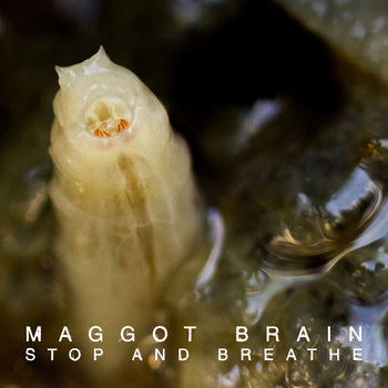 Stop and Breathe
