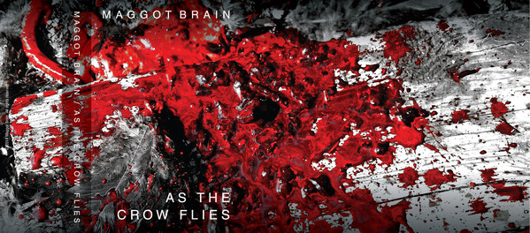 As the Crow Flies