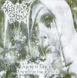 Agony in Chaos - Despair of the Flagelated Souls
