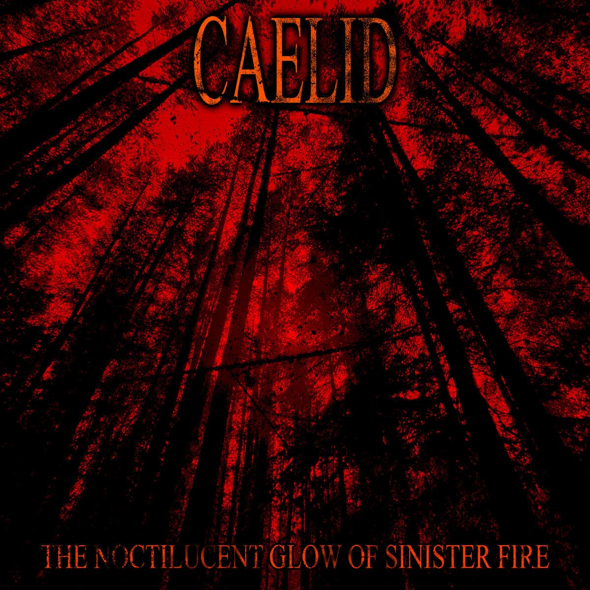 The Noctilucent Glow of Sinister Fire