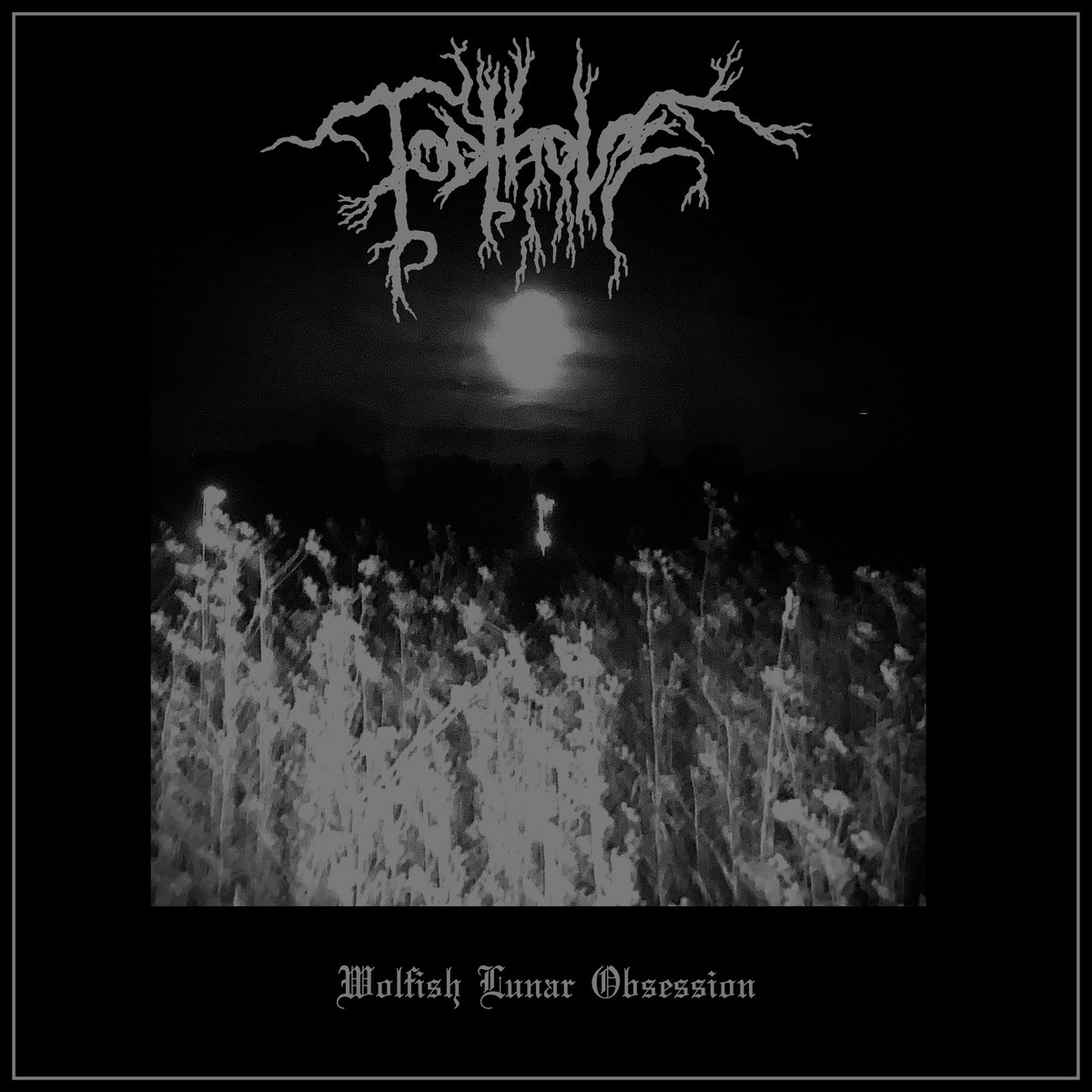 Wolfish Lunar Obsession