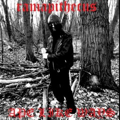 Ape Like Ways